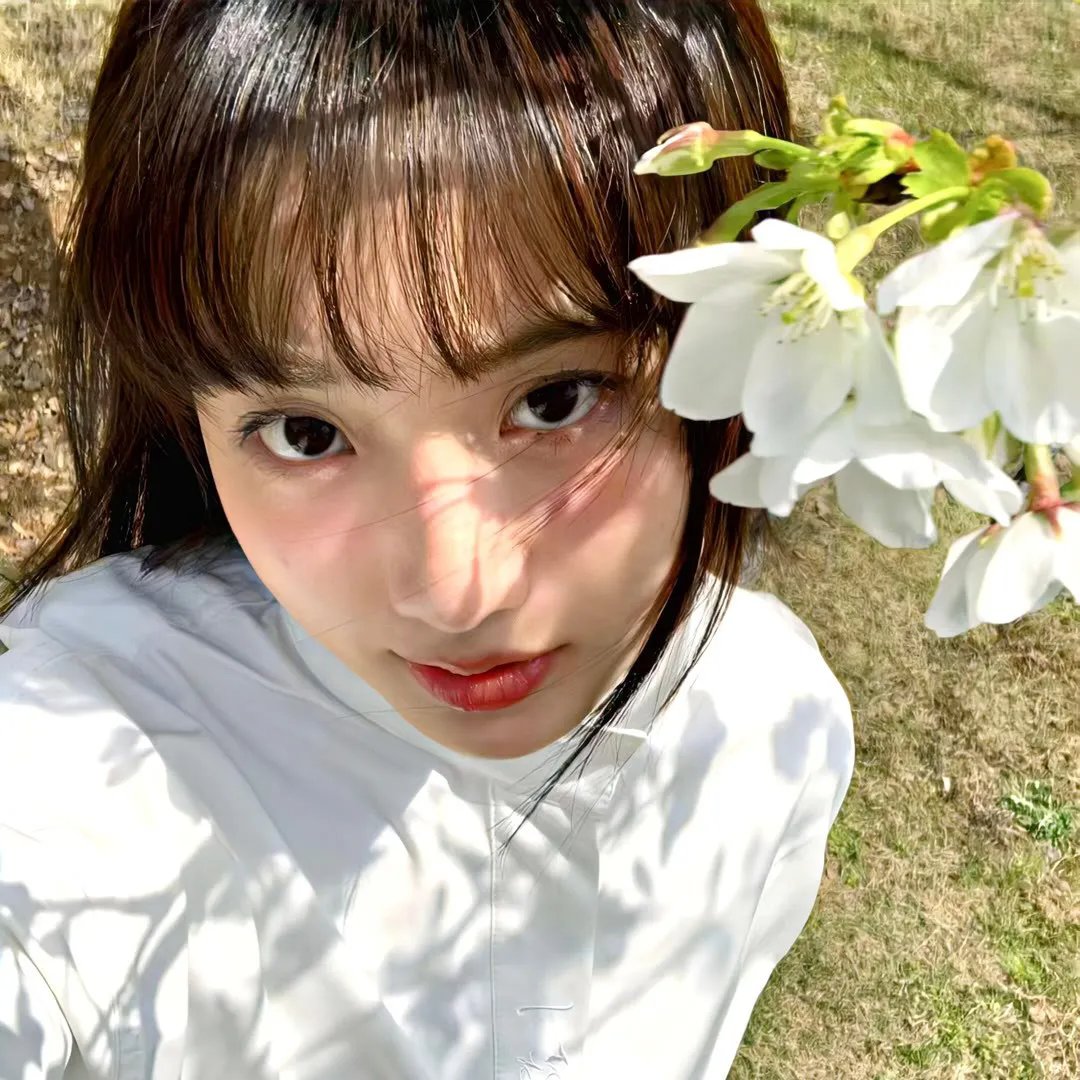 最强大脑第十季